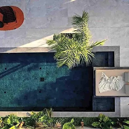 Theros Exotica Contemporary Loft