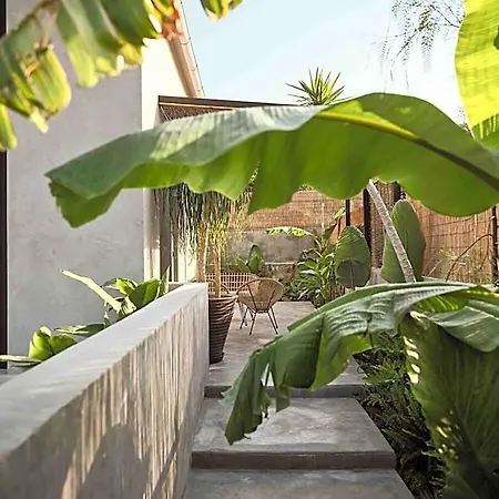 سكن Theros Exotica Contemporary Loft *