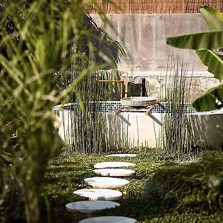 Theros Exotica Contemporary Loft